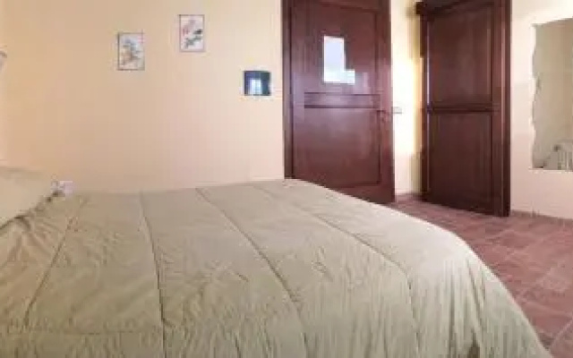 Agriturismo Terre di Musignano