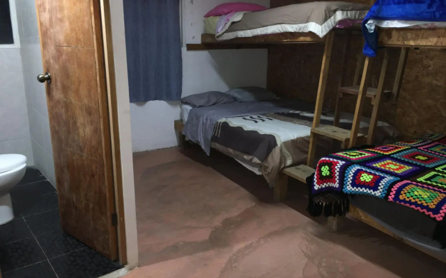 La casa del nenufar