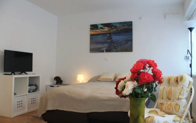 Studio Apartment Mali Ty