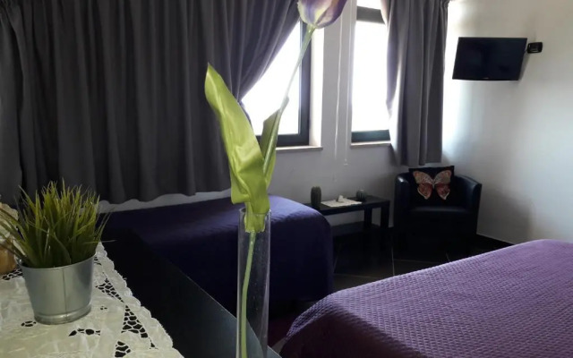 B&B Villa Molinari