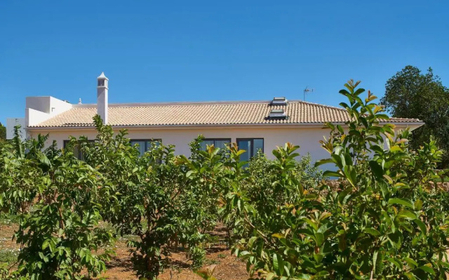 Mercedes Country House