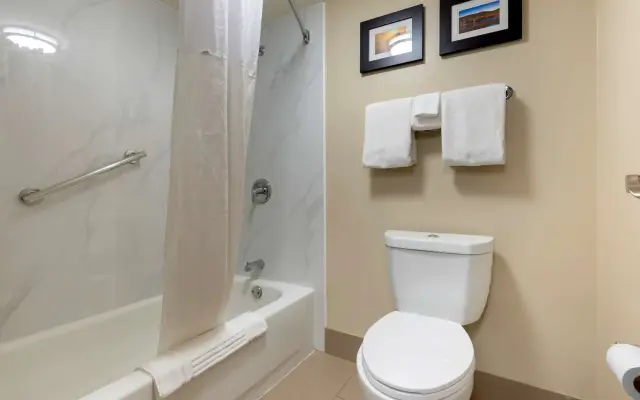 Comfort Inn Binghamton I-81