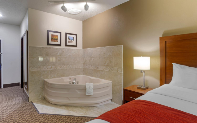 Comfort Inn Hobart-Merrillville I-65