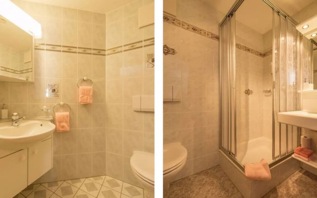 Apartment Azurit Saas-Fee 14529