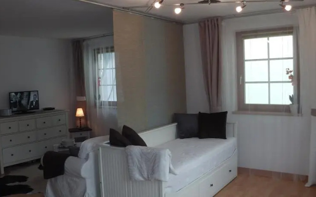 Appartement Harrer Zell am See