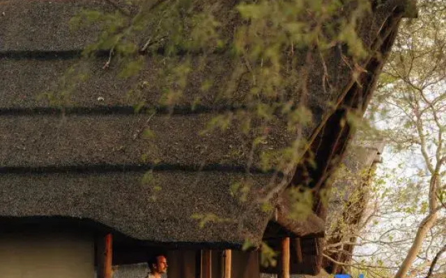 Savute Elephant Lodge