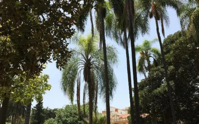 Casa Rosa