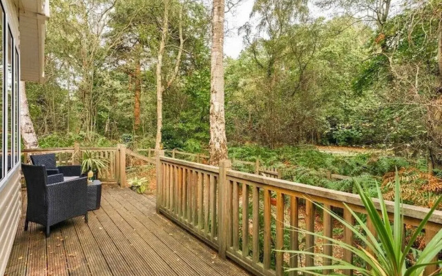 Sea Squirrel - Kelling Heath Holiday Park - 15856