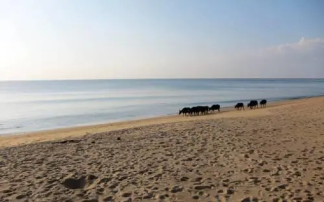 Mai Khao Beach House