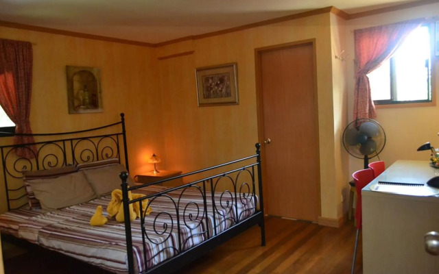 Villa Viva Belgica