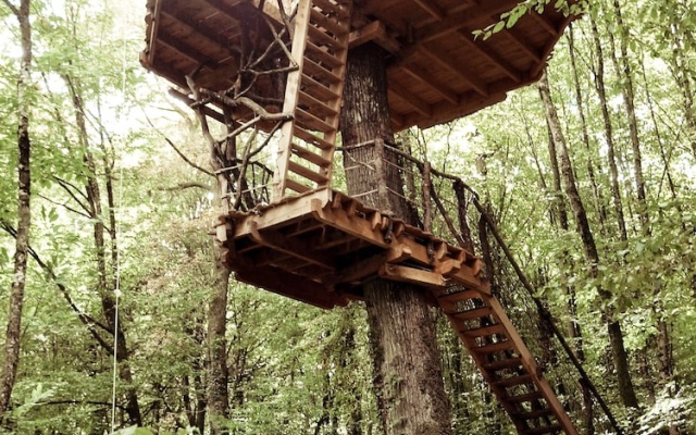 L'Arbre à Cabane