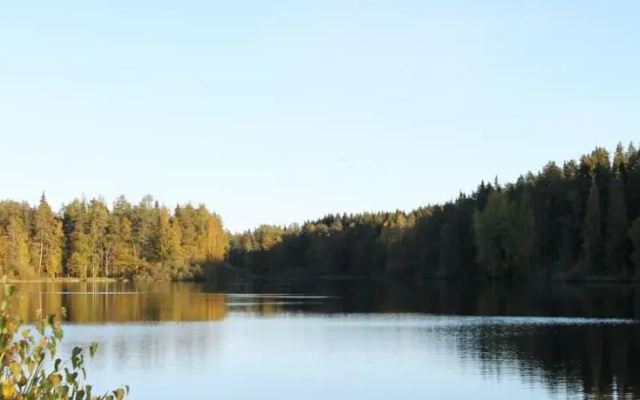 Liukonpellon Luomutila