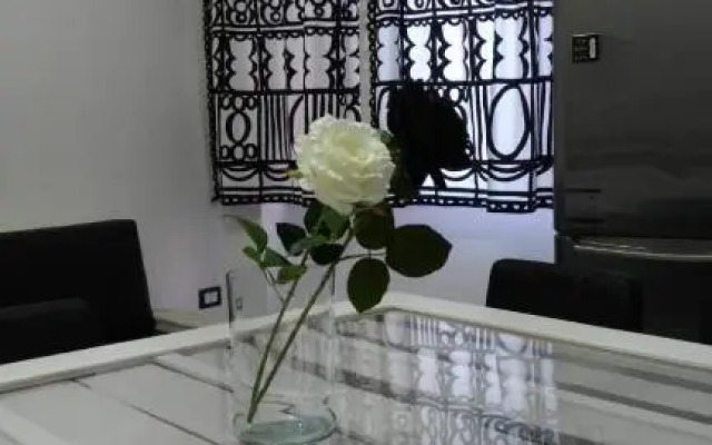 Black&White guest house