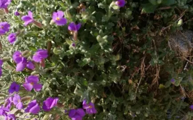 Suite familiale de charme en Provence