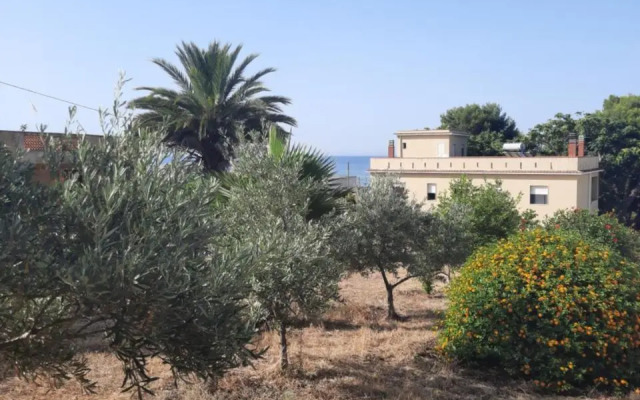 Mediterraneo