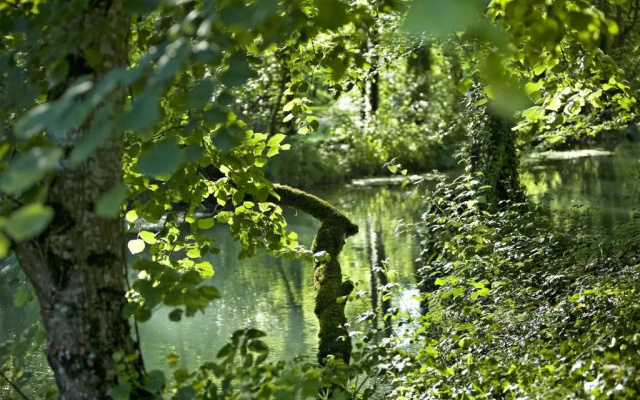 Manoir d'Hautegente