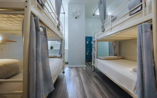 Samesun Venice Beach - Hostel