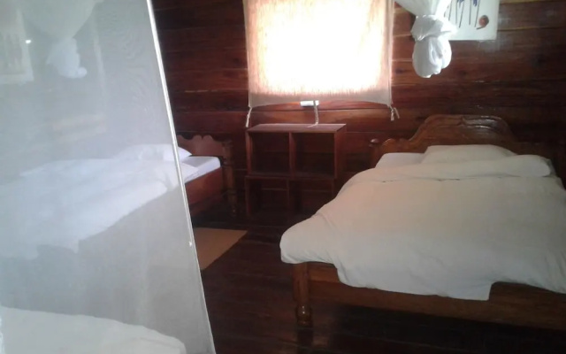 Ikoma Safari Camp
