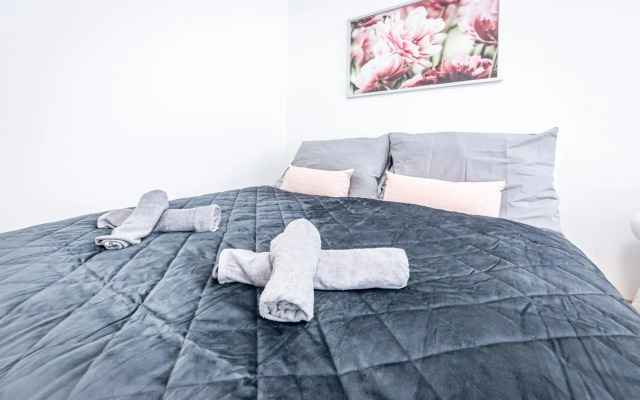 Premium City Apartment/Grand Opening Offers!
