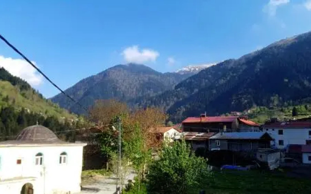 Talipoğlu Apart