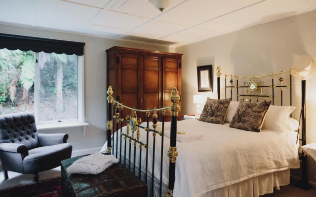 Dingleigh of Sassafras (Adults Only)