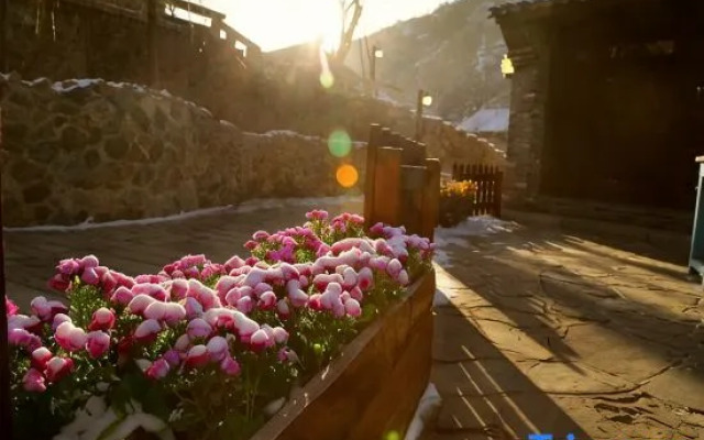 Silk Road Inn