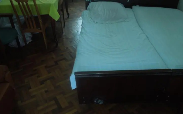 Zaza Apartment on Abashidze