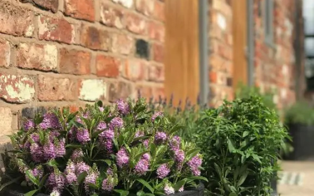 Rylands Farm Guest House