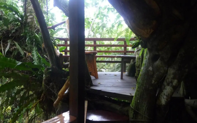 Topos Tree House