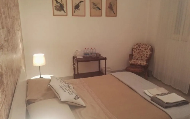 Camere Mazzini 49