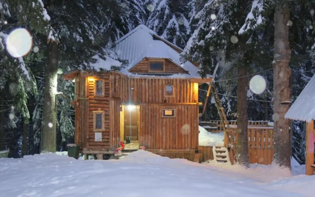 Lodge Between The Pine Trees