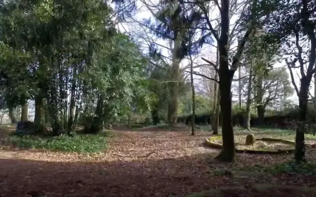Hilston Park