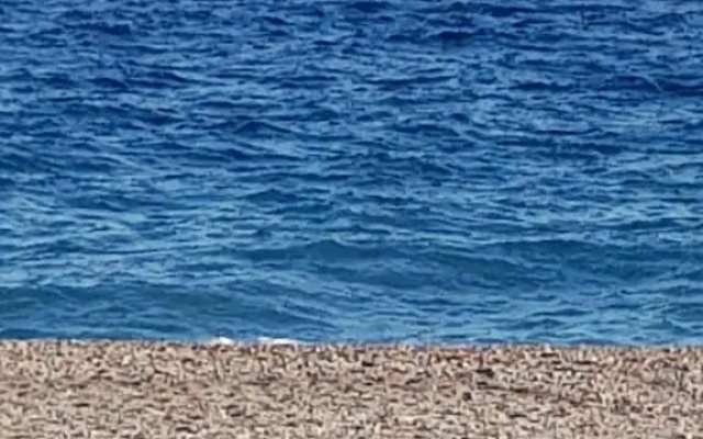 Holiday apartments I Puritani on the beach