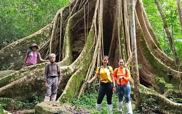 Pakchong hostel & wildlife tour