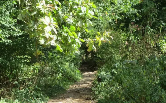 Domaine de Montmorillon