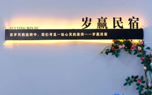 Jingdezhen Suiying Homestay (Sanbao International Pottery Village Store)