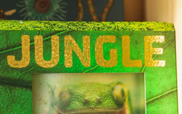 The Jungle - Unique Cabin in Millport