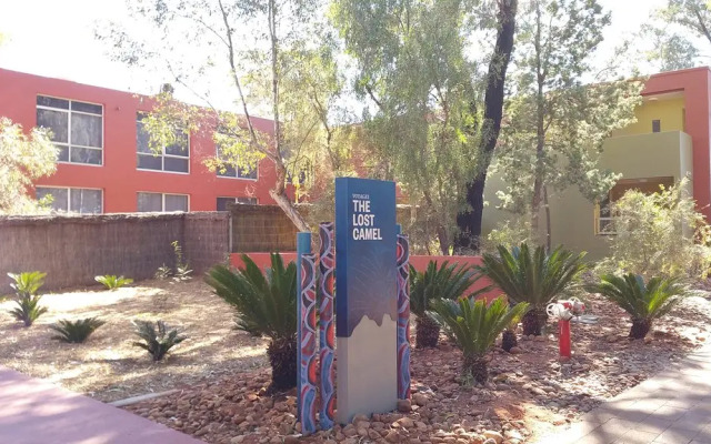 The Lost Camel