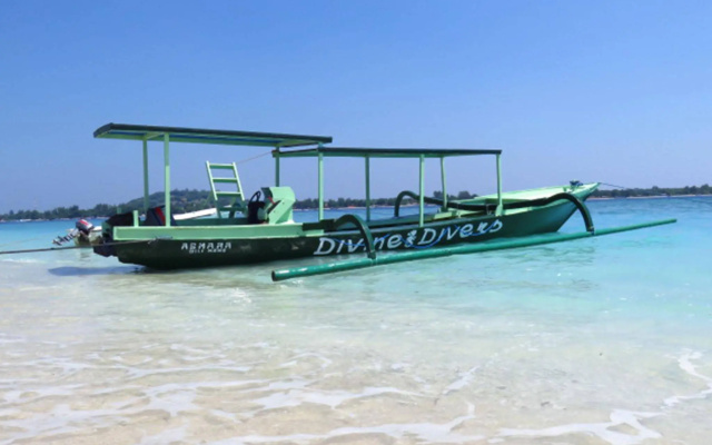 Divine Divers Resort
