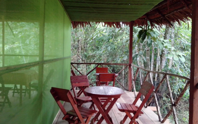 Amazon Queen Lodge