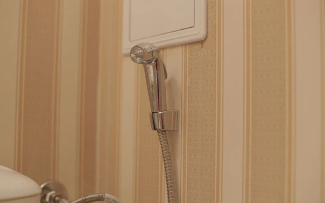 Luxury Apartment in Anastasia Palace