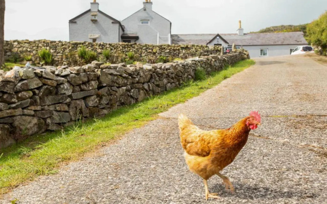 Gorse Hill Farm