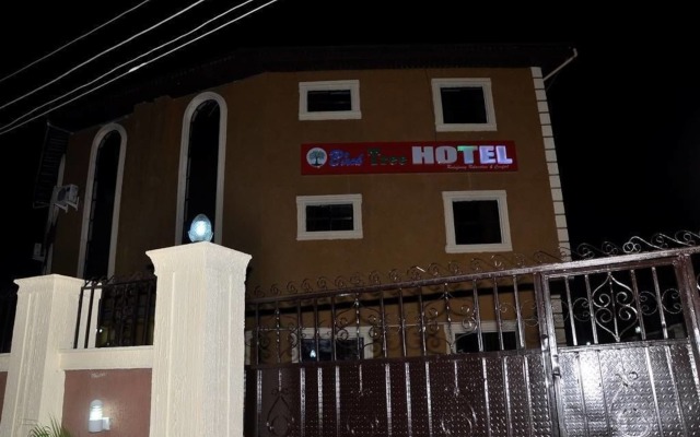 Birch Tree Hotel вид на фасад