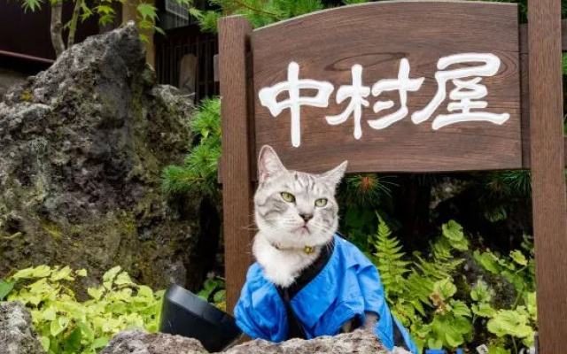Kusatsu Onsen Nakamuraya Ryokan (Gunma)