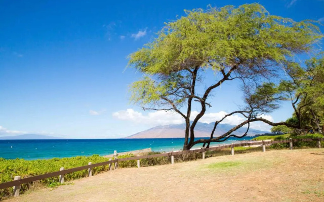 Hale Kamaole #130