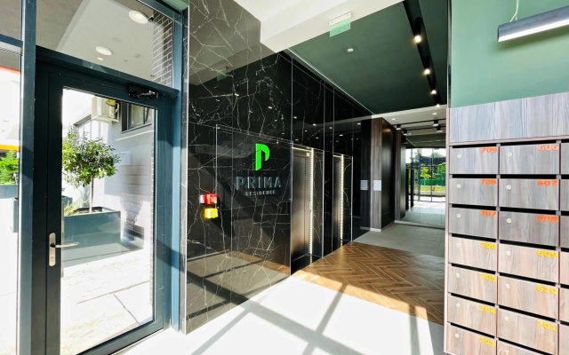 The Palm Apartment - free parking central studio