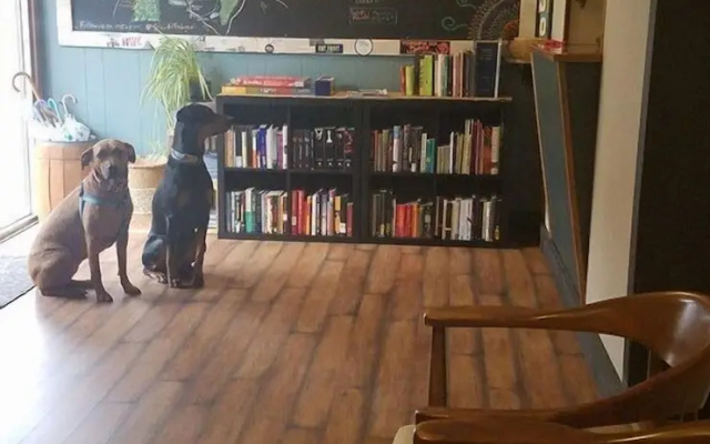 The Local Hostel
