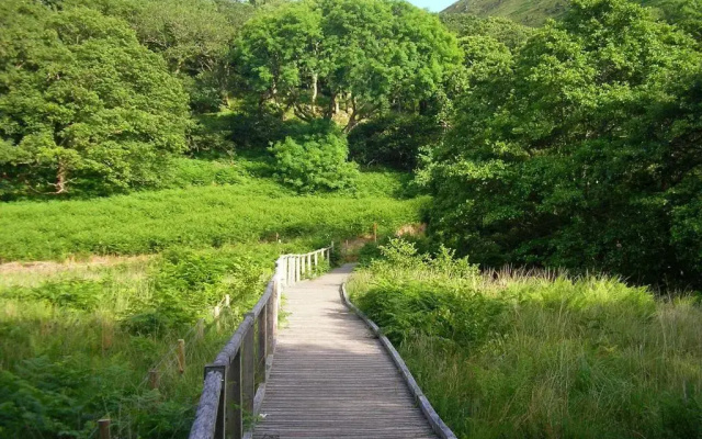 The Dolgoch