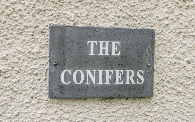 The Conifers