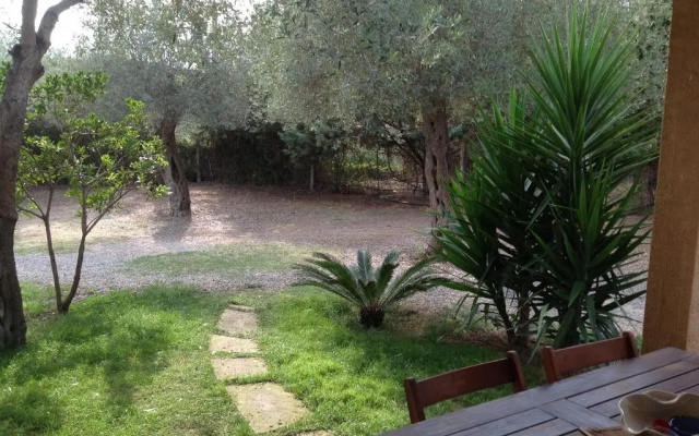 Gli Ulivi